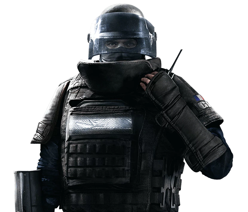 Profile image of Rook